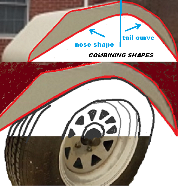 nose to tail fender mimicry.png