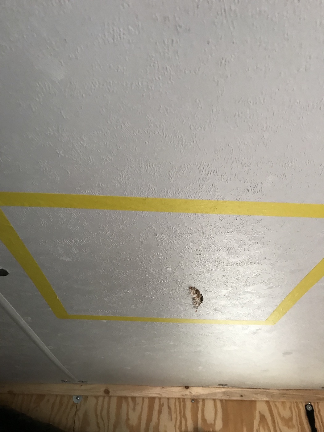 2 Maxxfan Inside ceiling.JPG