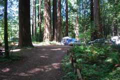 Redwoodscamping