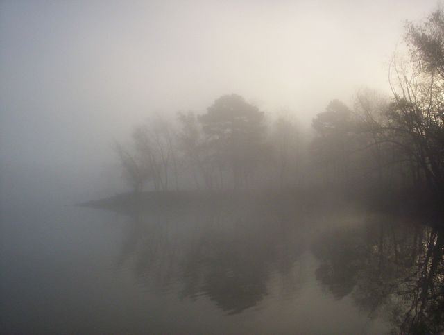 petit jean fog