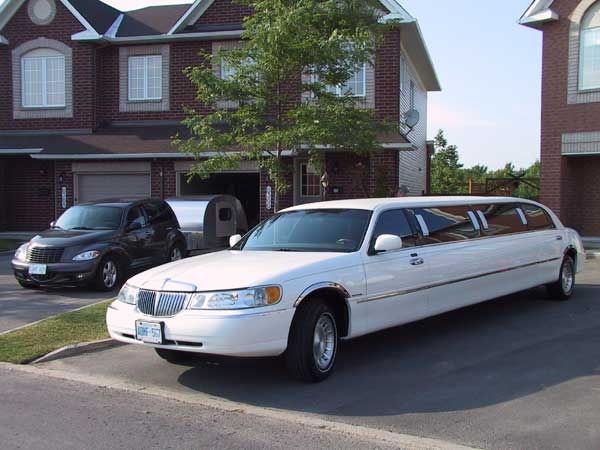 Our Tear and Stretch Limo