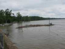 driftwood on the ohio