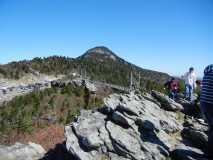 Grandfather Mountain Swinging Bridge