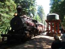 Skunk Train steam engine