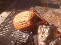 Pumpkins roasting on an open fire.