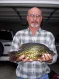 Crappie