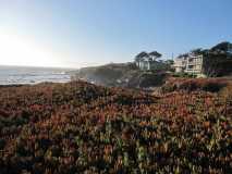 stunning Cambria neighborhood ocean views flowers house 2