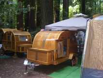 Lots of wood in the Redwoods