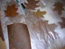 Leaf outlining