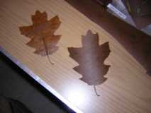 Final leaf copy