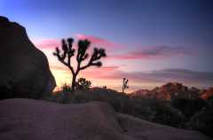 Joshua Tree Hidden Valley Sunset