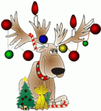 raindeer