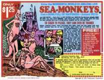 SeaMonkeys