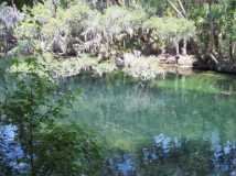 The Clear Waters of Blue Springs