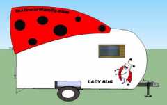 ladybug