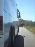 Elephant in road at Pilanesberg