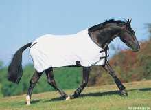 horsesheet