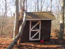 Tree On Shed 2