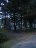 Campsite at Cape Lookout State Park