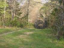 Trail Leaving Camp