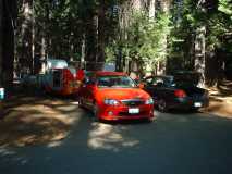 331 cal big trees redwoods