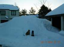 Madison and Casey climbing the snowplow mountain