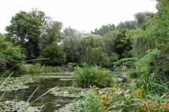 Monet's lilly pond