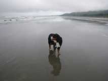 Beach at Kalaloch