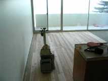 My faithful sander