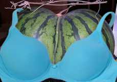 melon bra