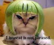 Limecat