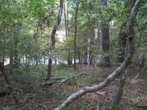 hiking at lake of the ozarks