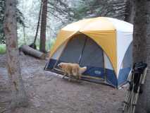 Snow on tent