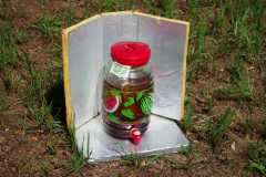 Sun Tea Accellerator