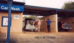 Texas car wash
