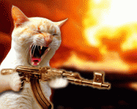 Cat gun