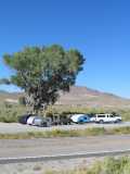 Shoe Tree, on the way to the 'Glyphs II, Sept. 2009