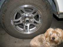 Missing Lug Nut