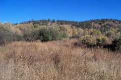 This the area at the east end of Lake Robert's that the whitetail deer like. It is in the Upper End Campground in the Gila National Forrest, New Mexico