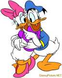 donald & daisy duck
