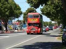 The Wedding Bus