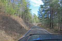 GW Forest Road Typical 2