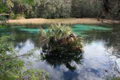 Rainbow Springs