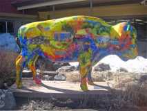 Painted Buffalo