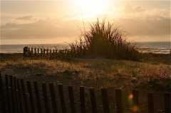 Dunes at sunrise
