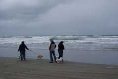 Maiden Voyage Cannon Beach Oregon