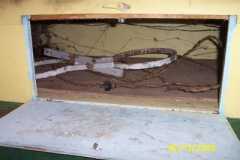 old propane racks & electrical cord under couch