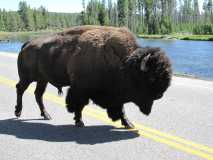 Crossing the double yellow line