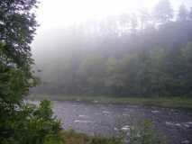 Campsite along the Ammonoosuc River