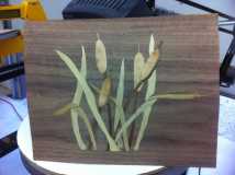Marquetry Cat Tails
